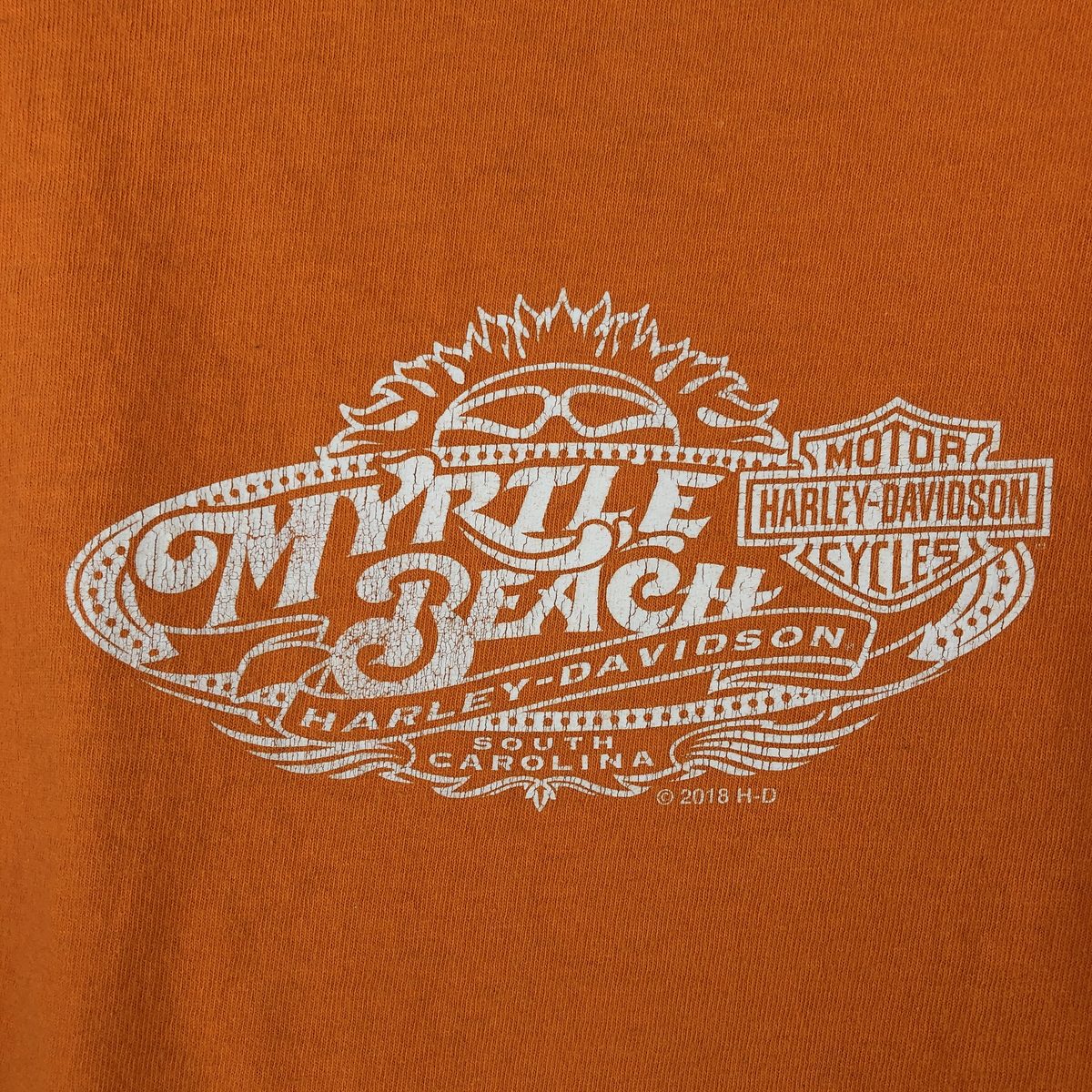 Harley-Davidson/ハーレーダビッドソン モーターサイクル バイクTシャツ