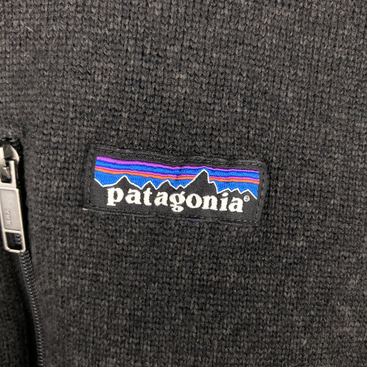 Patagonia/パタゴニア STY25881FA16 フリースベスト