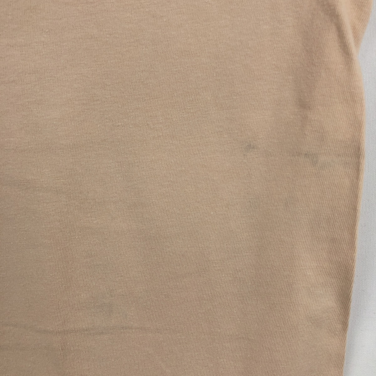Hanes/ヘインズ BEEFY-T アニマルTシャツ