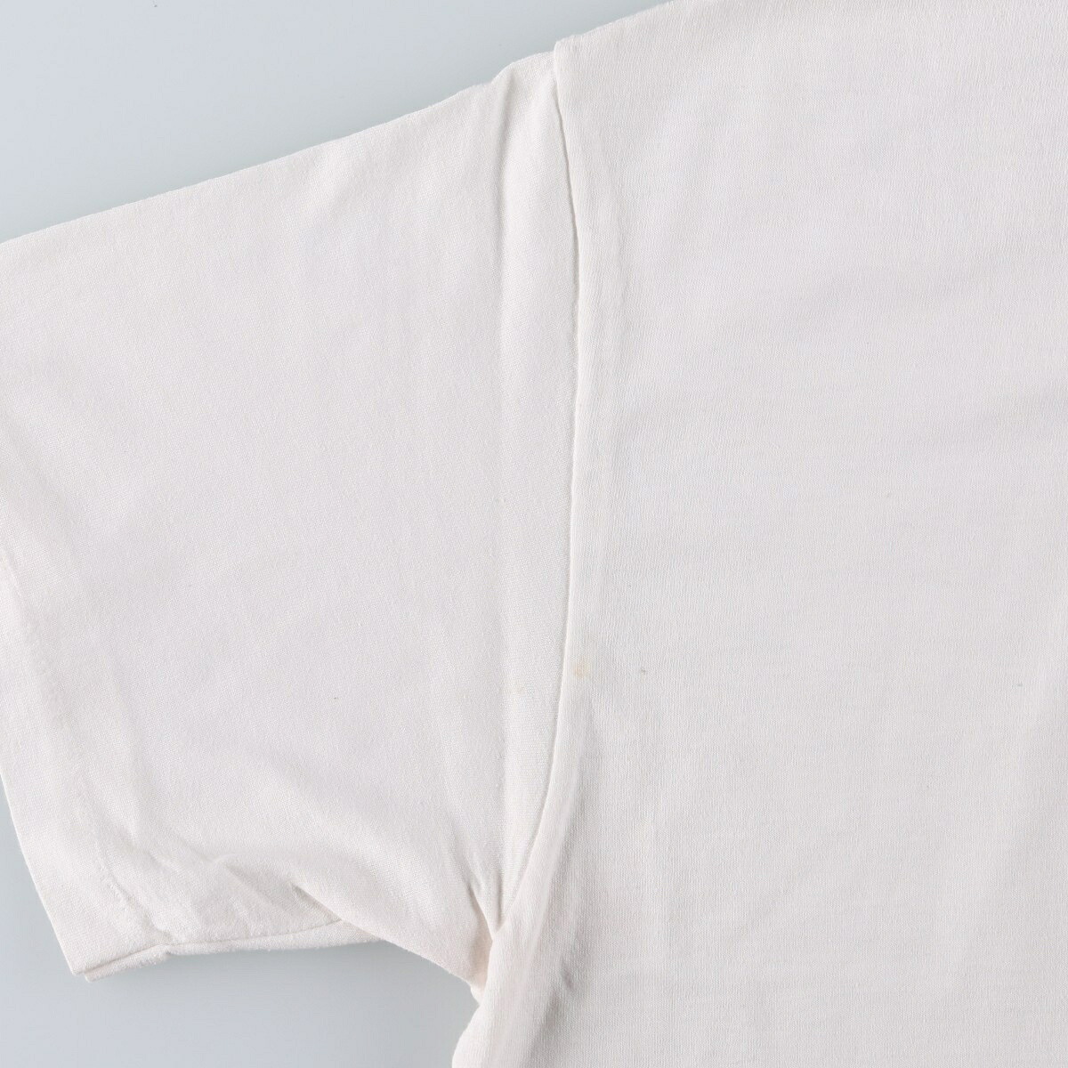 Hanes/ヘインズ HEAVYWEIGHT 50/50 メッセージプリントTシャツ