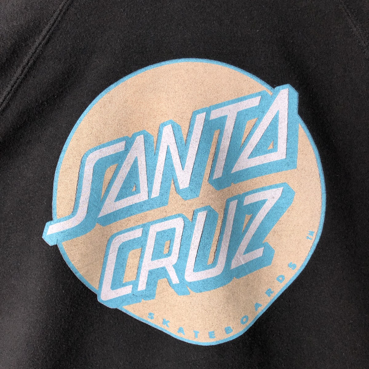 SANTA CRUZ/サンタクルーズ スウェットプルオーバーパーカー