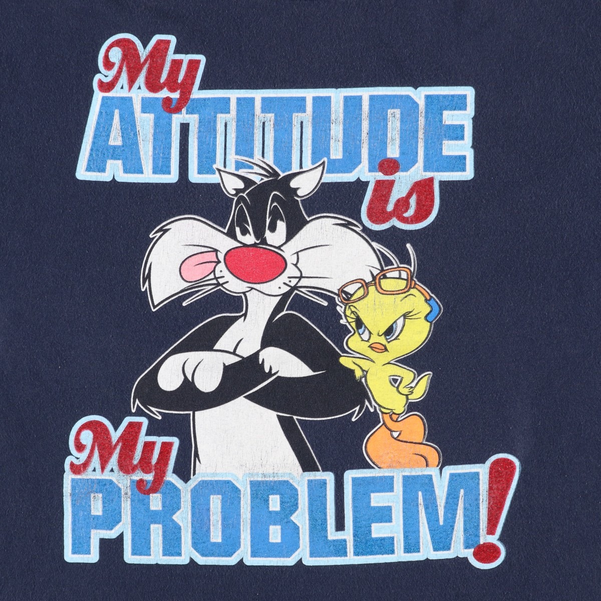 LOONEY TUNES ルーニーテューンズ シルベスターキャット トゥイーティー キャラクタープリントTシャツ