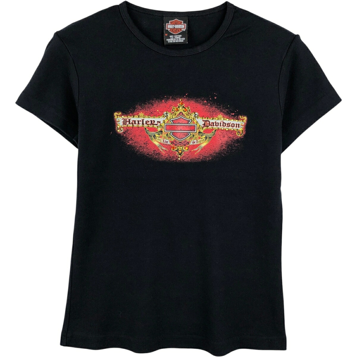 Harley-Davidson/ハーレーダビッドソン モーターサイクル バイクTシャツ