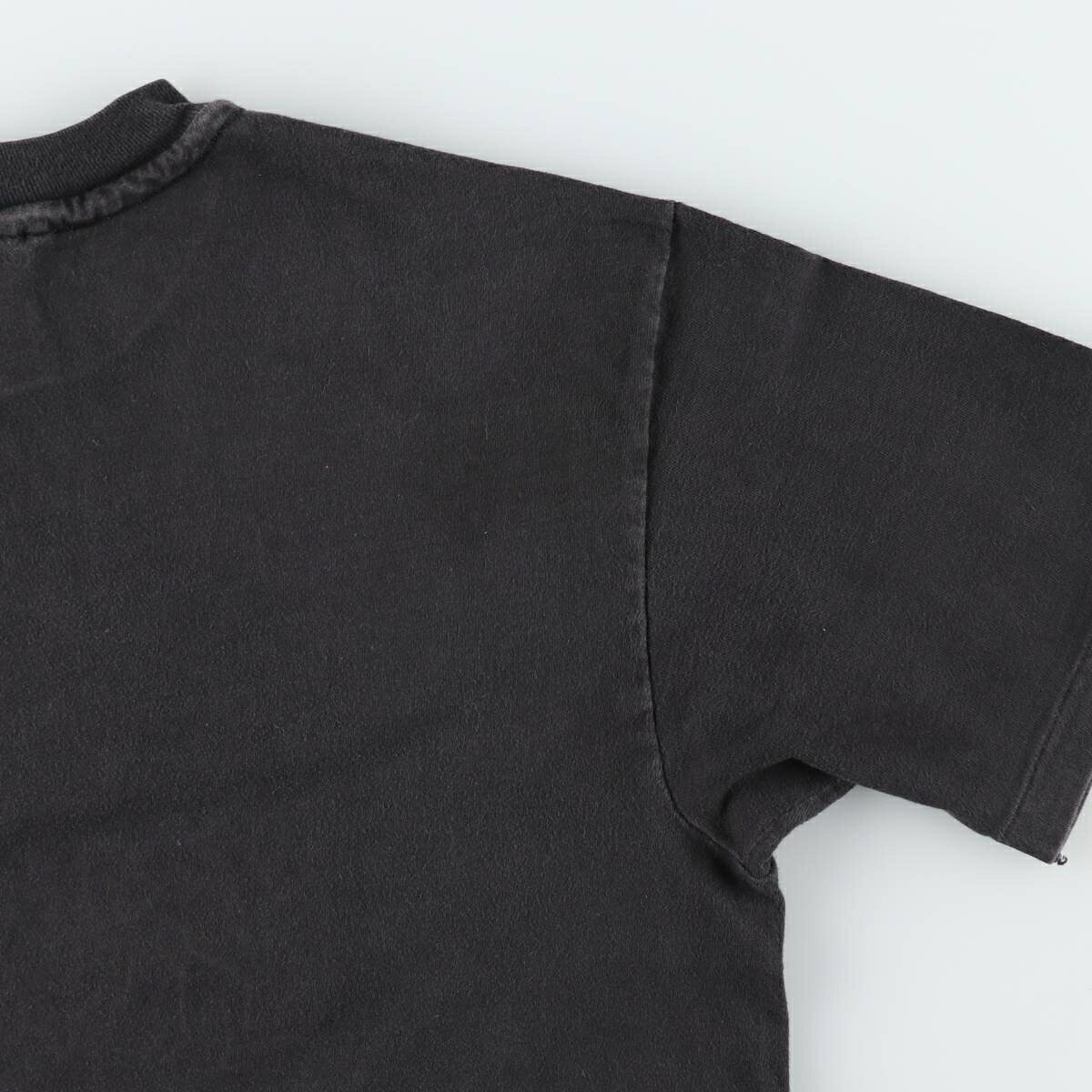 Hanes/ヘインズ THE AUSTIN LOUNGE LIZARDS バンドTシャツ バンT