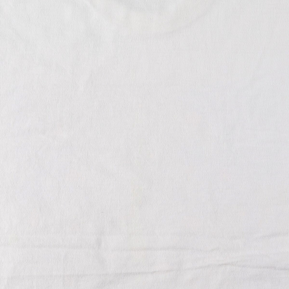 古着 90年代 フルーツオブザルーム FRUIT OF THE LOOM アニマルTシャツ カナダ製 メンズXL相当 ヴィンテージ /eaa642398 【中古】 【260824】