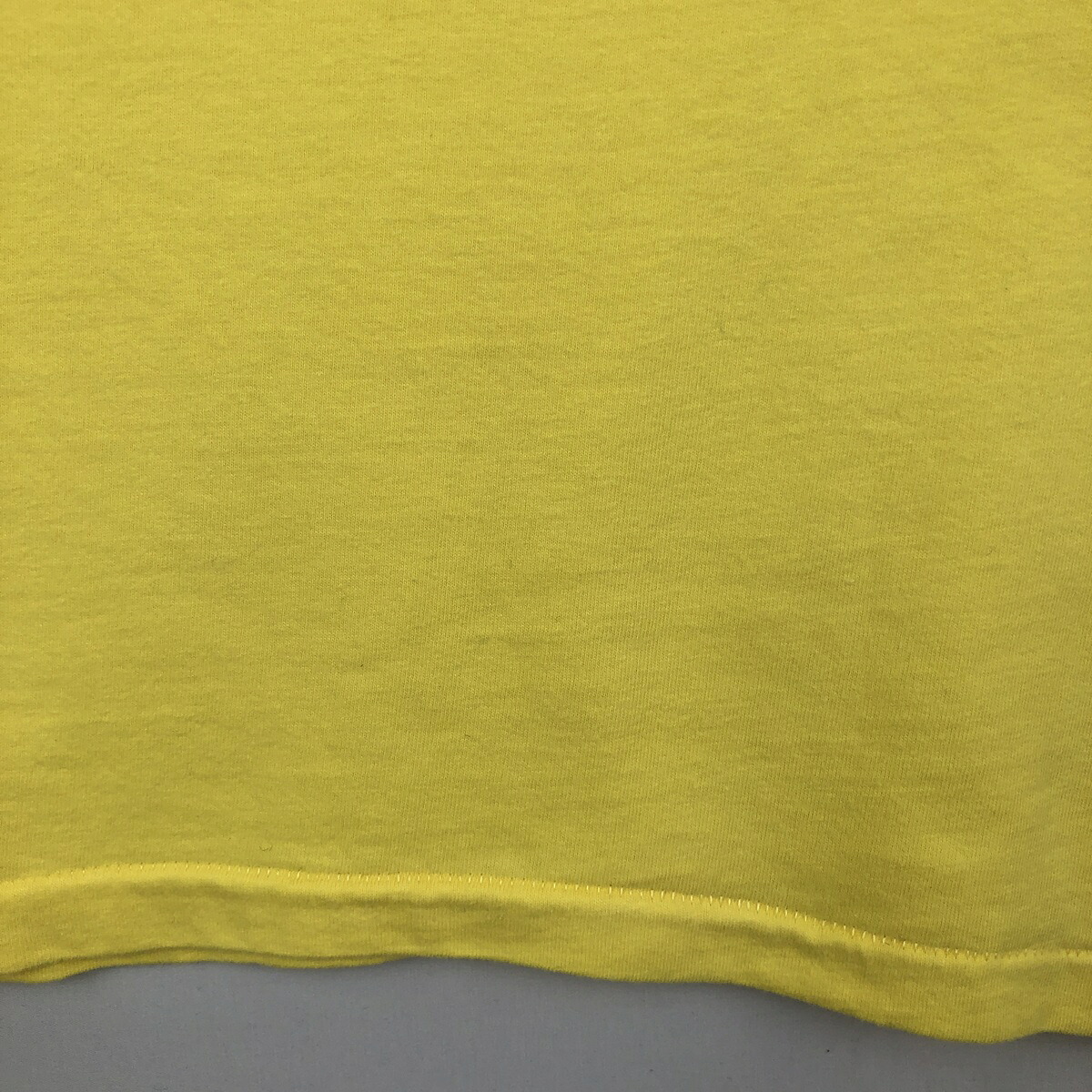 Hanes/ヘインズ BEEFY-T アドバタイジングTシャツ