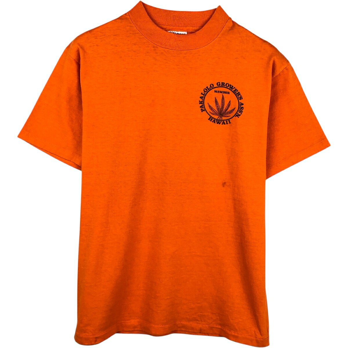 Hanes/ヘインズ Beefy プリントTシャツ