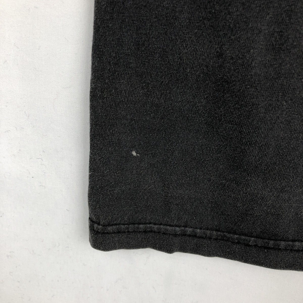 Champion/チャンピオン AUTHENTIC ATHLETIC APPAREL プリントTシャツ