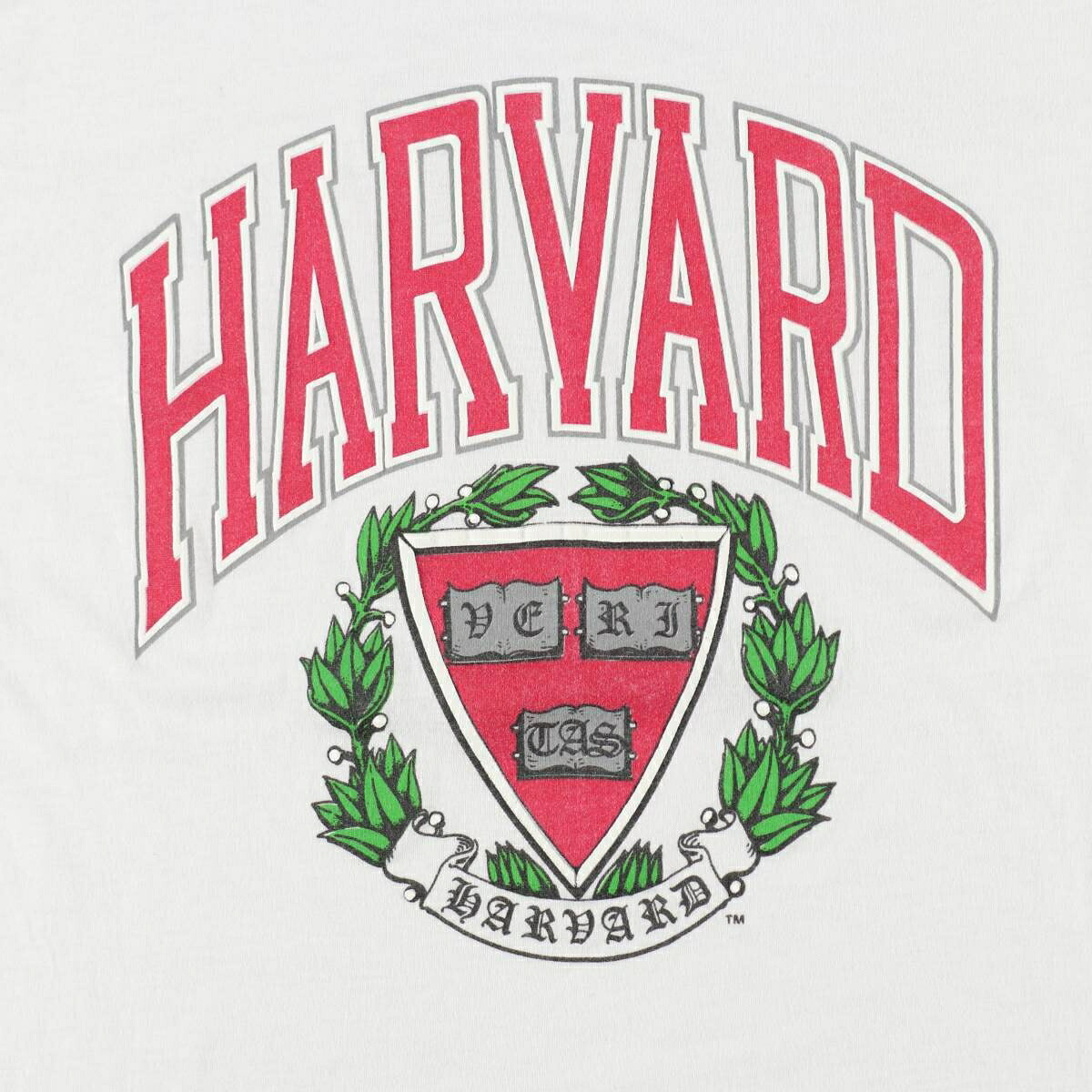TNT HARVARD ハーバード大学 カレッジTシャツ