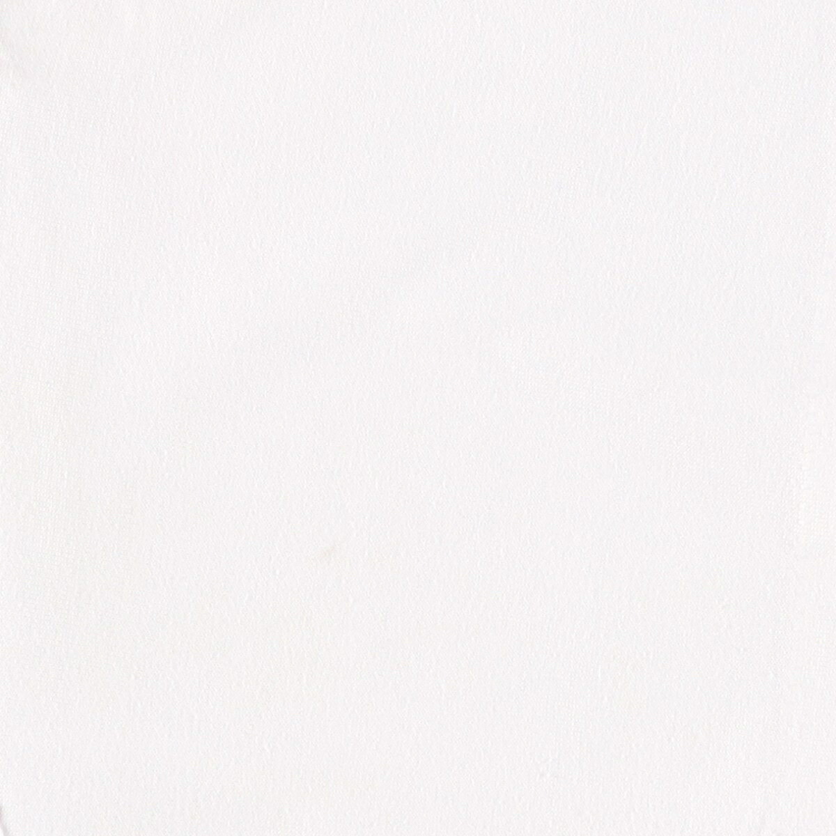 FRUIT OF THE LOOM/フルーツオブザルーム BEST アニマルTシャツ