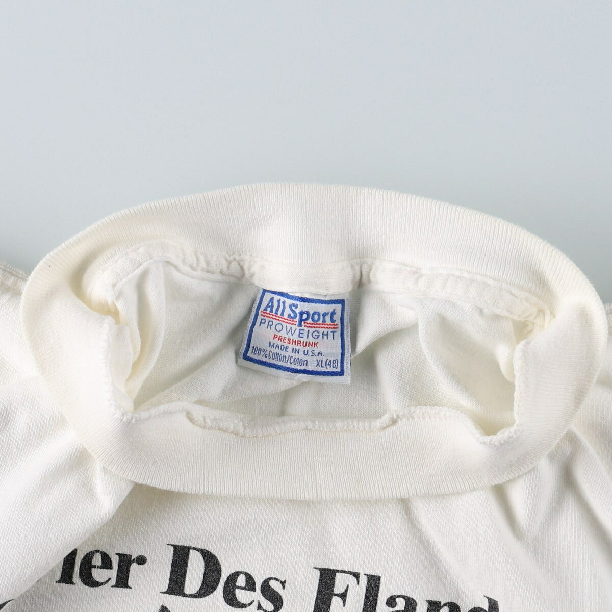 古着 90年代 All Sport BOUVIER DES FLANDRES ブービエデフランダース 犬柄 アニマルTシャツ USA製 メンズXL相当 ヴィンテージ /eaa656402 【中古】 【260802】