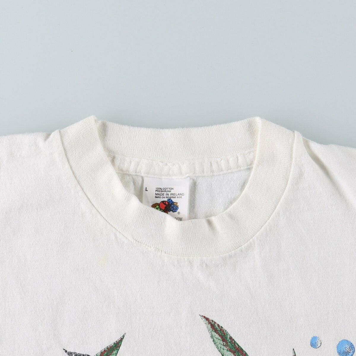 FRUIT OF THE LOOM/フルーツオブザルーム アニマルTシャツ
