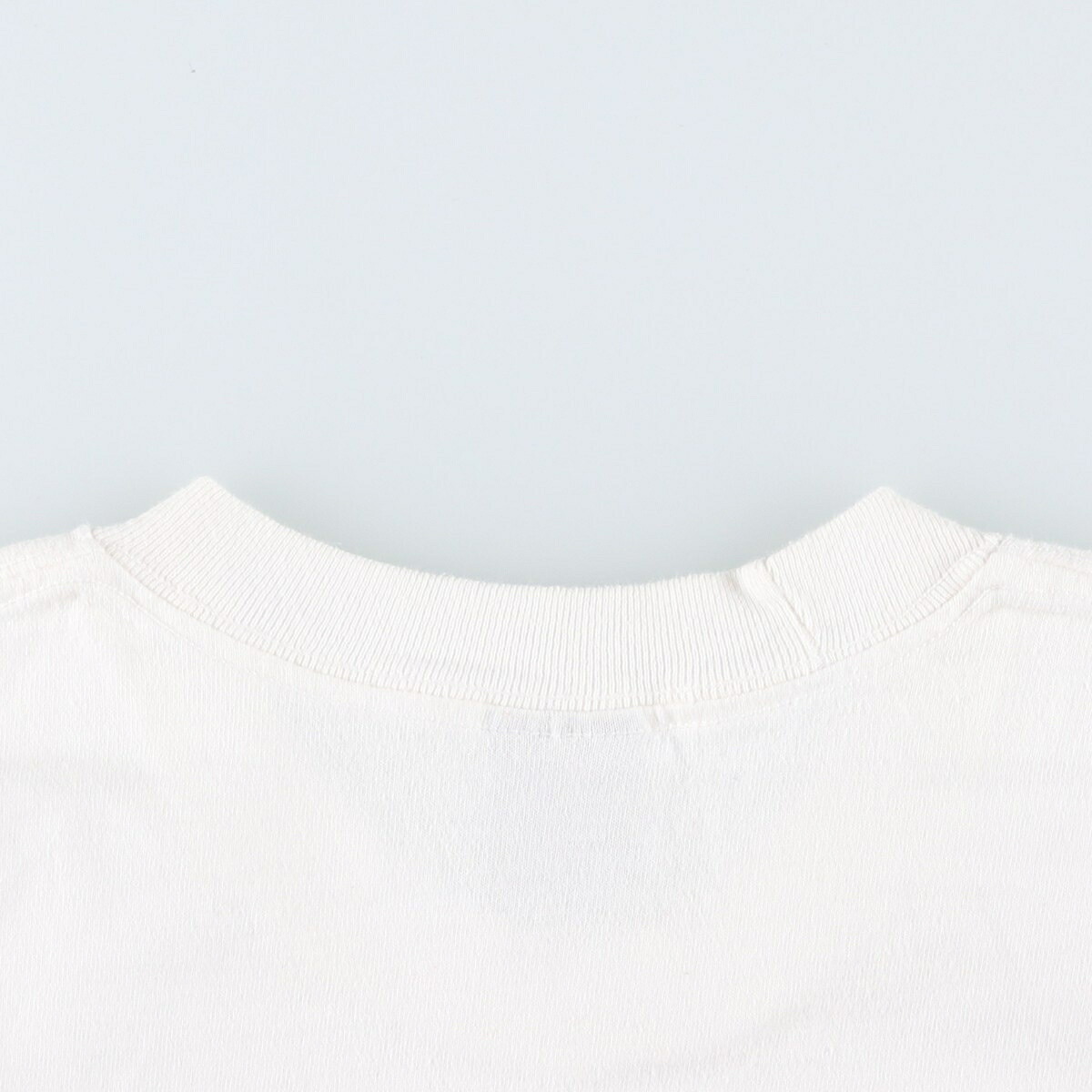 STUSSY/ステューシー サーフ スケートTシャツ