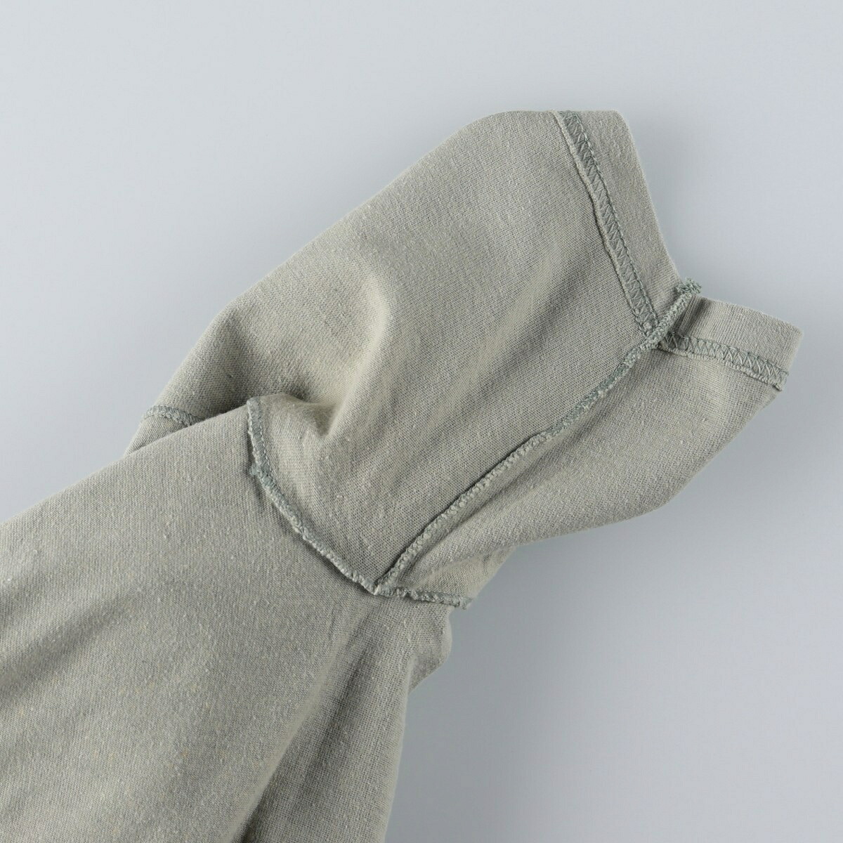Hanes/ヘインズ BEEFY-T 偉人Tシャツ