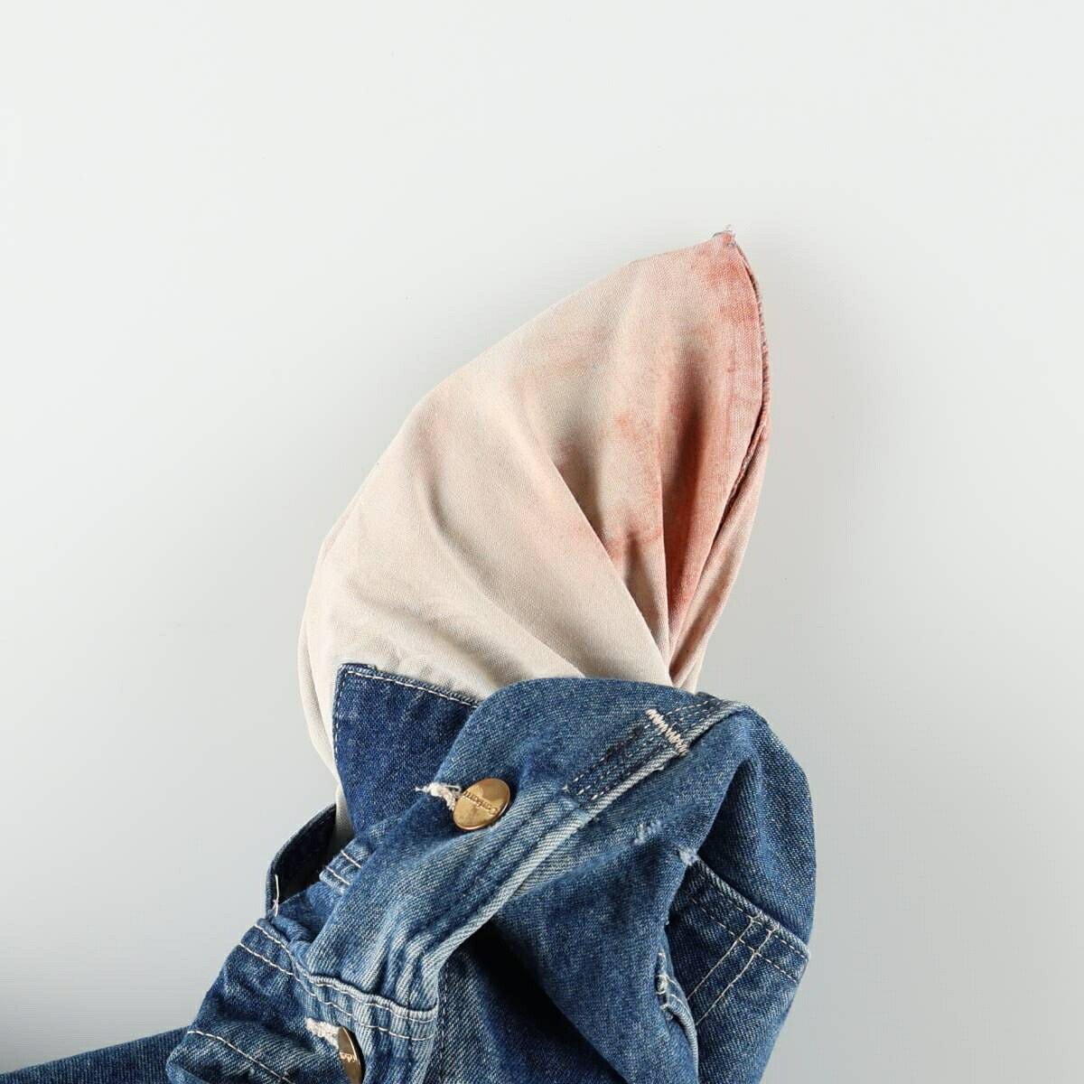 Carhartt/カーハート デニムオーバーオール