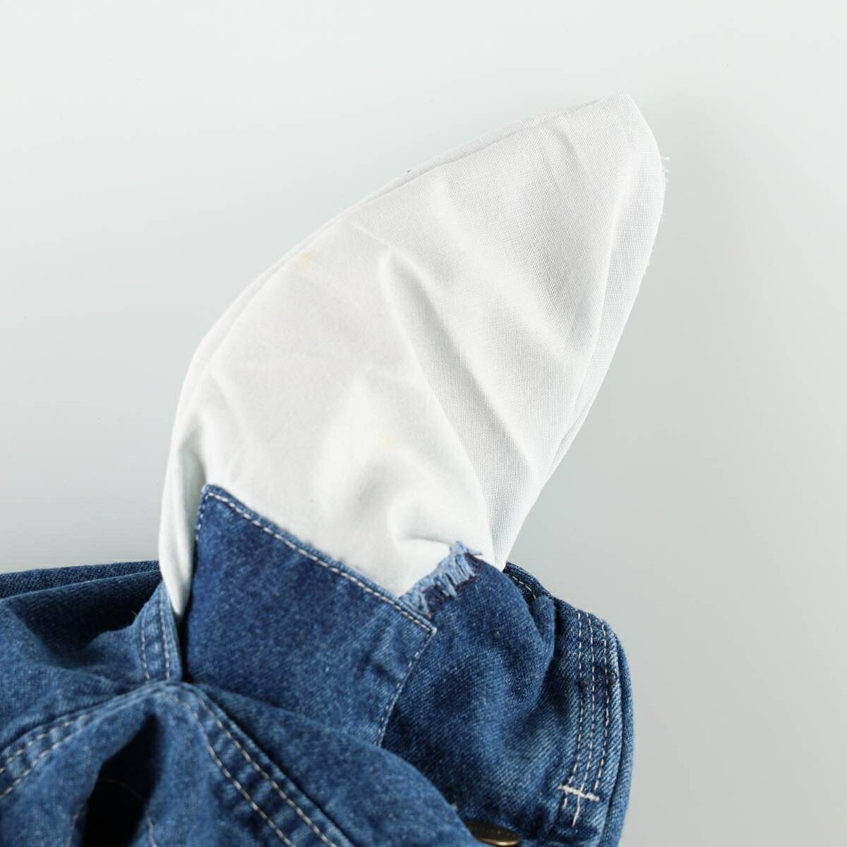 Carhartt/カーハート デニムオーバーオール