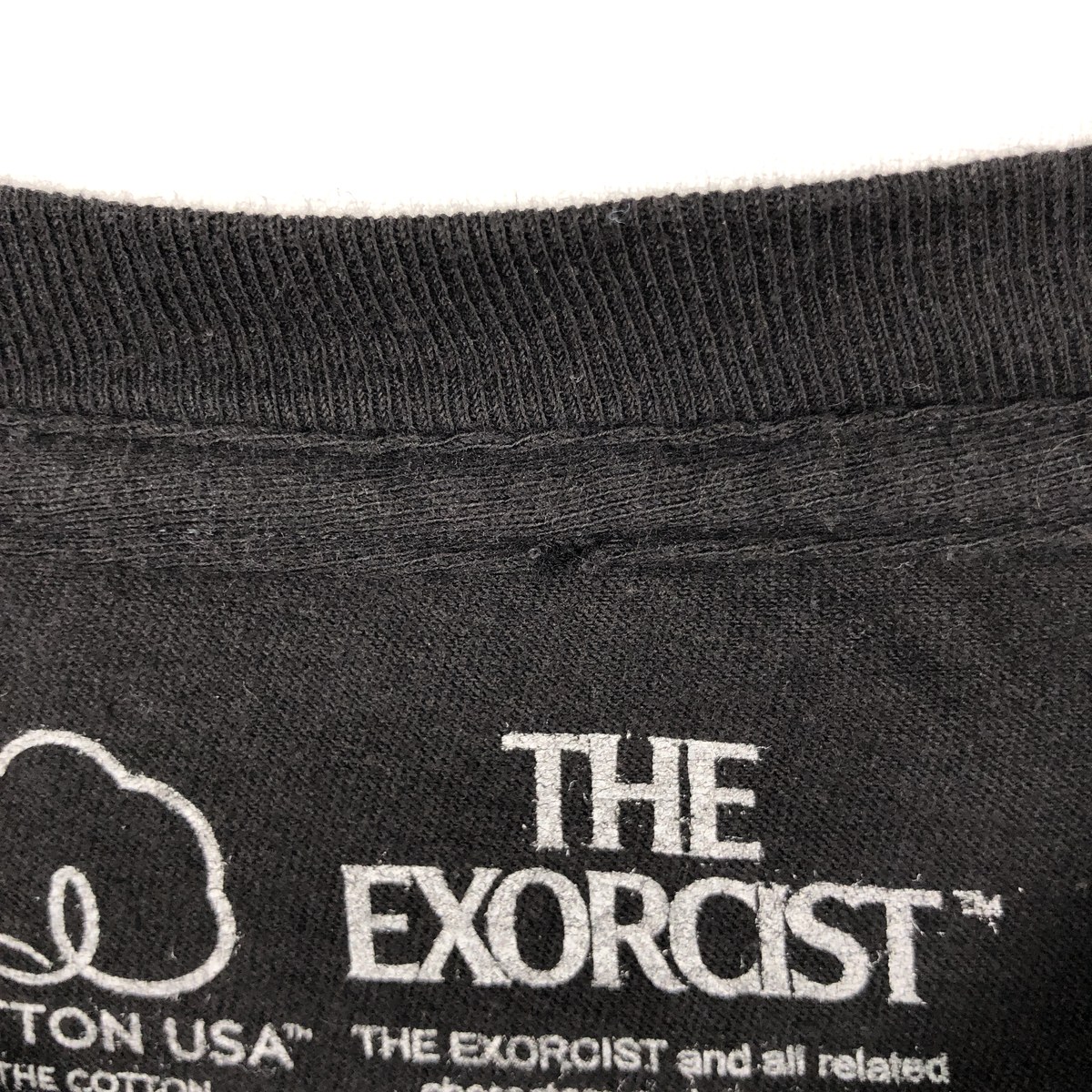 古着 THE EXORCIST エクソシスト 映画 ムービーTシャツ メンズL相当 /eaa657146 【中古】 【260730】
