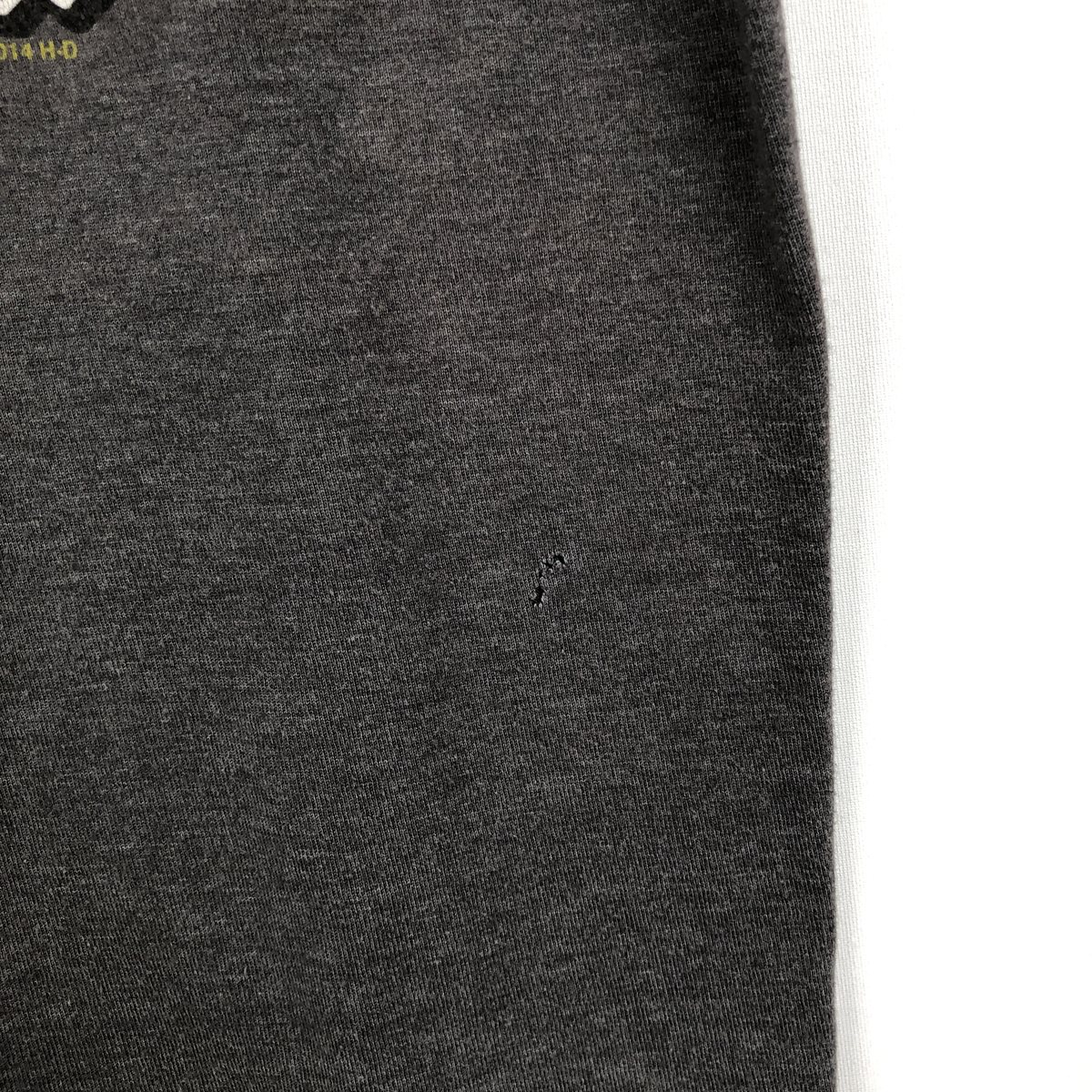Harley-Davidson/ハーレーダビッドソン モーターサイクル バイクTシャツ