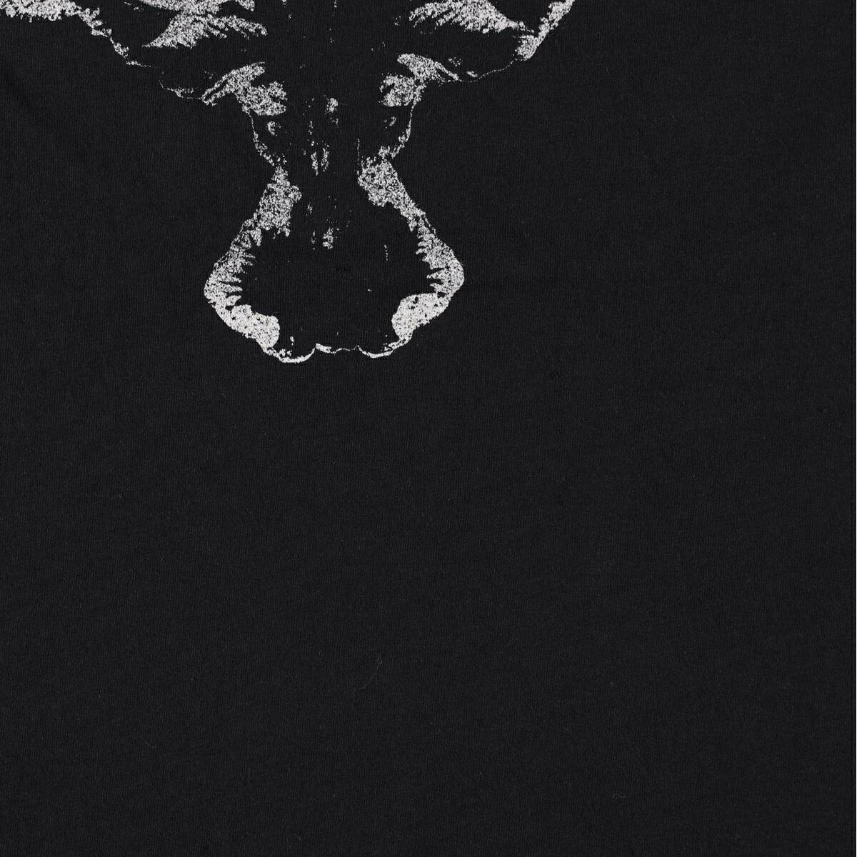 古着 THE CROW ザクロウ 映画 ムービーTシャツ メンズXL相当 /eaa658224 【中古】 【260807】