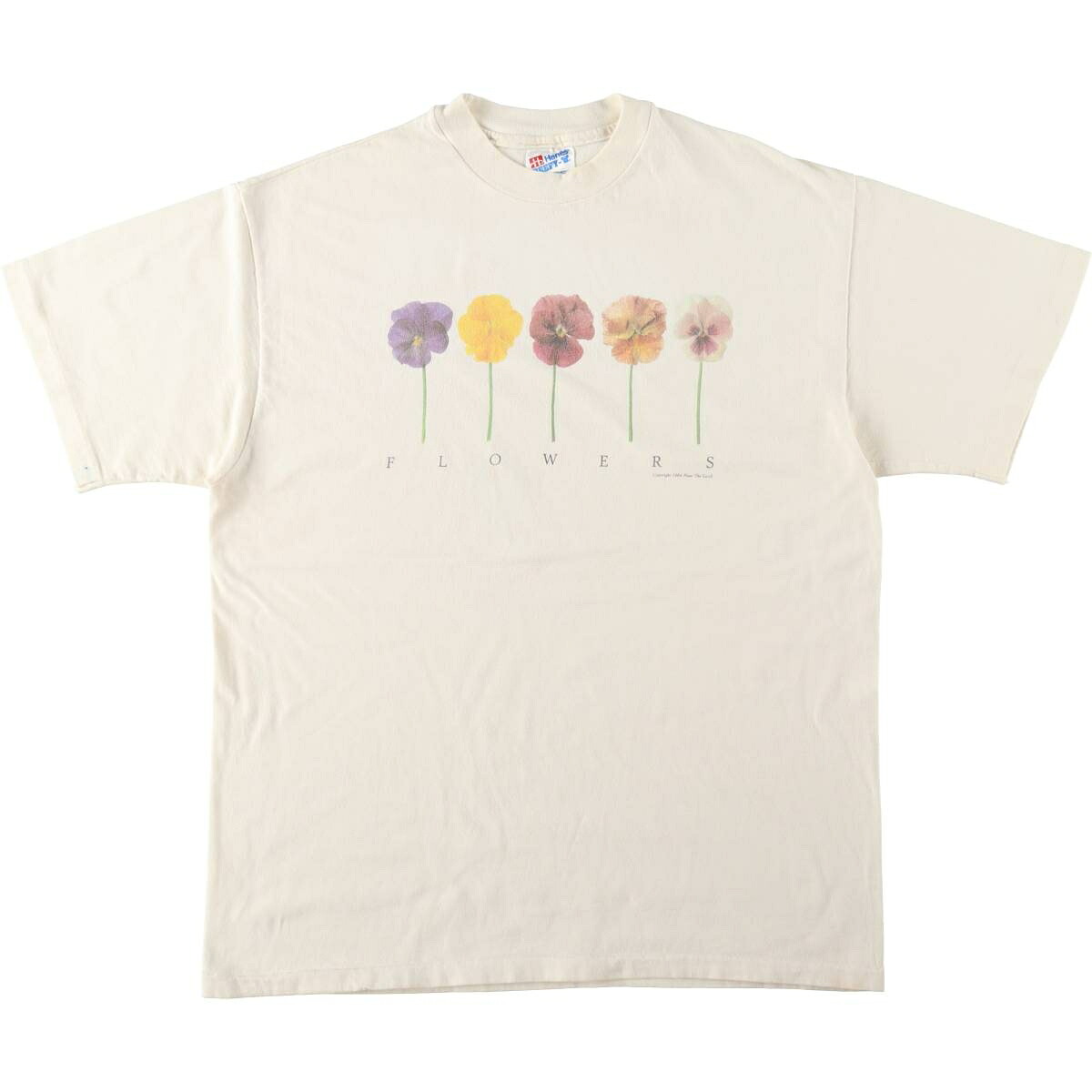 Hanes/ヘインズ BEEFY-T アートTシャツ