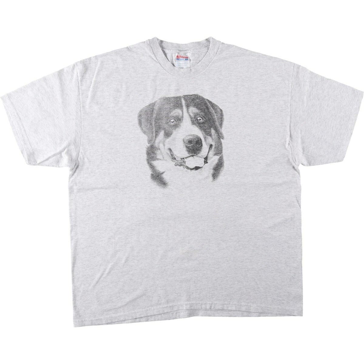 Hanes/ヘインズ HEAVYWEIGHT 50/50 アニマルTシャツ