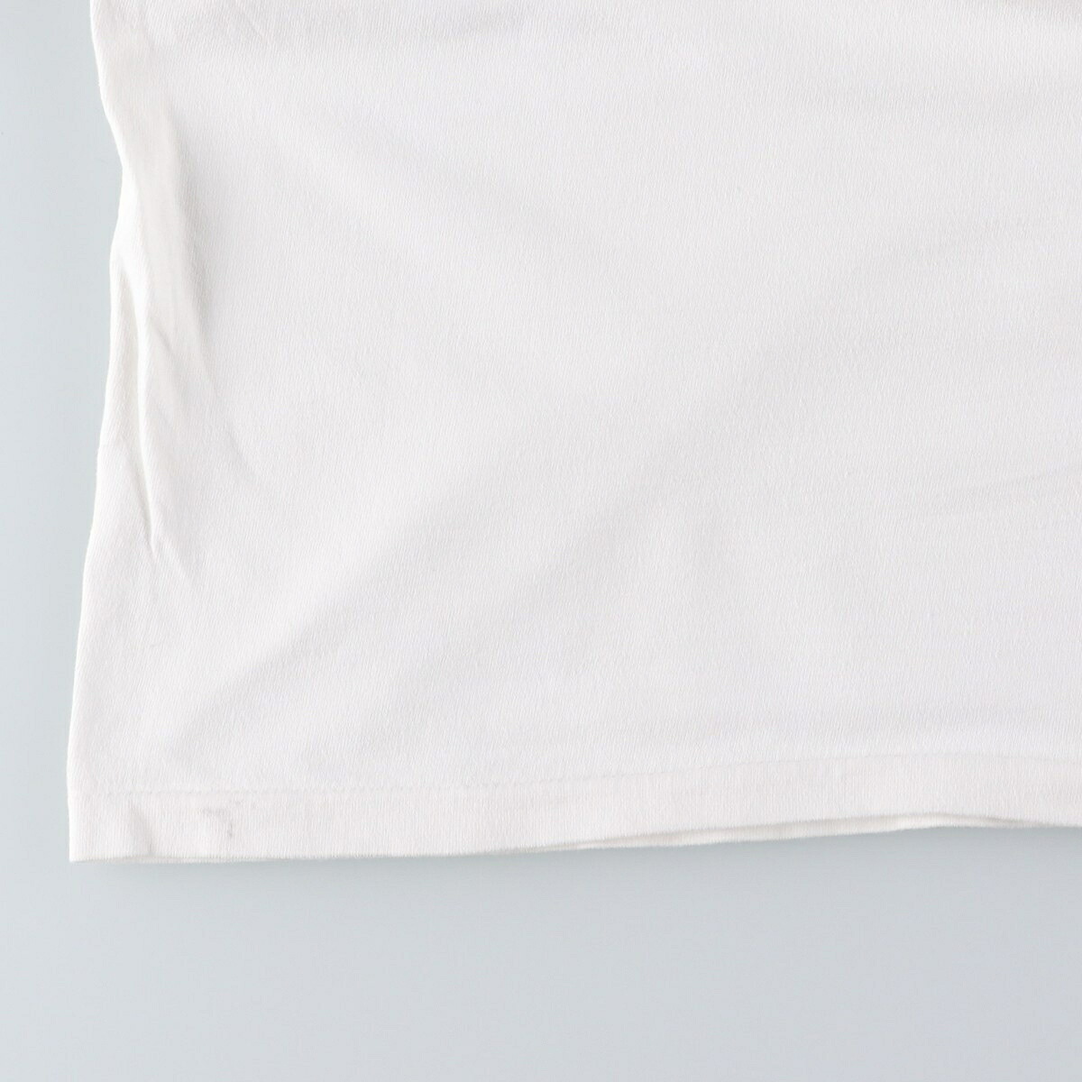 古着 90年代 ヘインズ Hanes BEEFY-T 魚柄 アニマルTシャツ USA製 メンズXL相当 ヴィンテージ /eaa659516 【中古】 【260724】