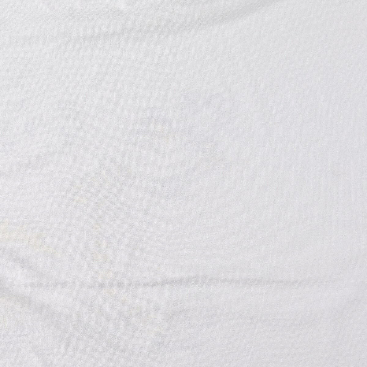 Hanes/ヘインズ HEAVYWEIGHT 50/50 キャラクタープリントTシャツ