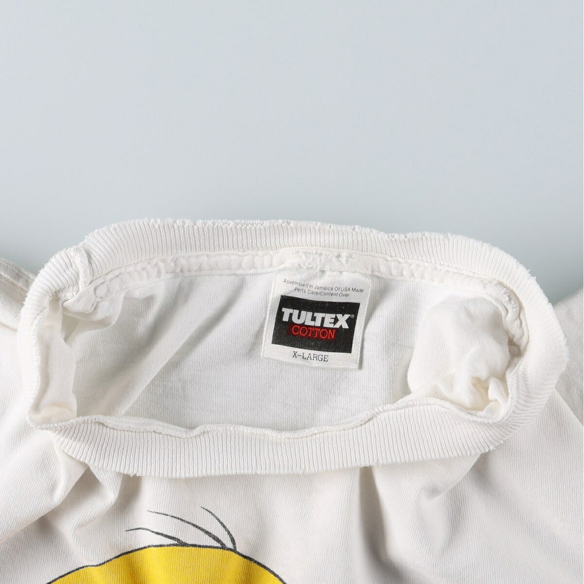 TULTEX/タルテックス LOONEY TUNES ルーニーテューンズ トゥイーティー キャラクタープリントTシャツ