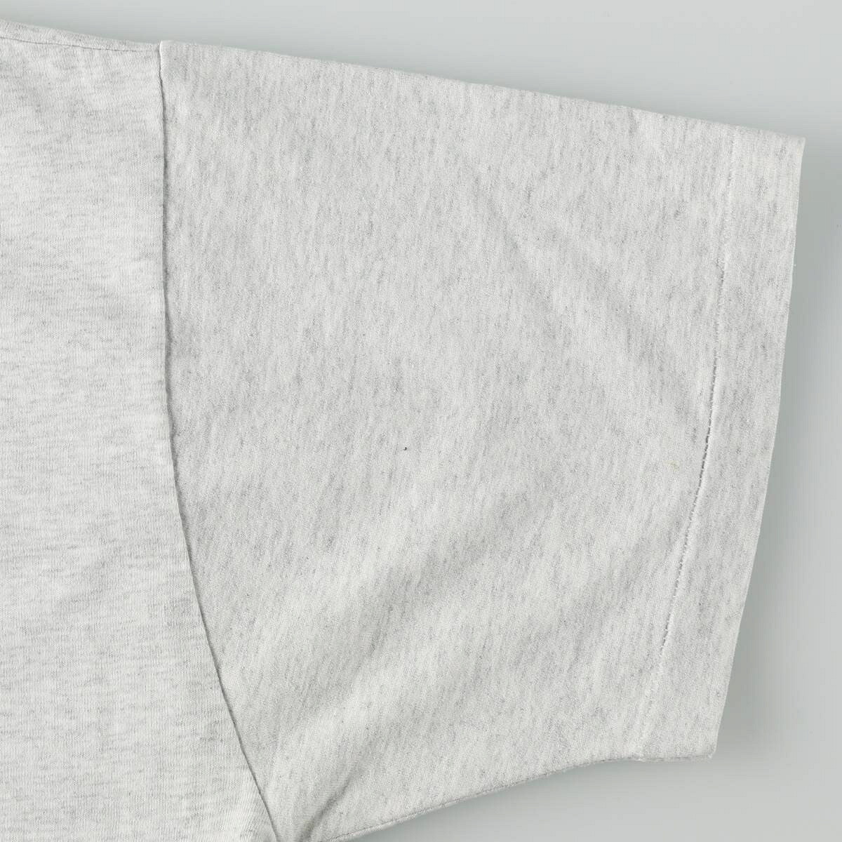古着 90年代 フルーツオブザルーム FRUIT OF THE LOOM BEST 象柄 アニマルTシャツ USA製 メンズXL相当 ヴィンテージ /eaa664447 【中古】 【260810】