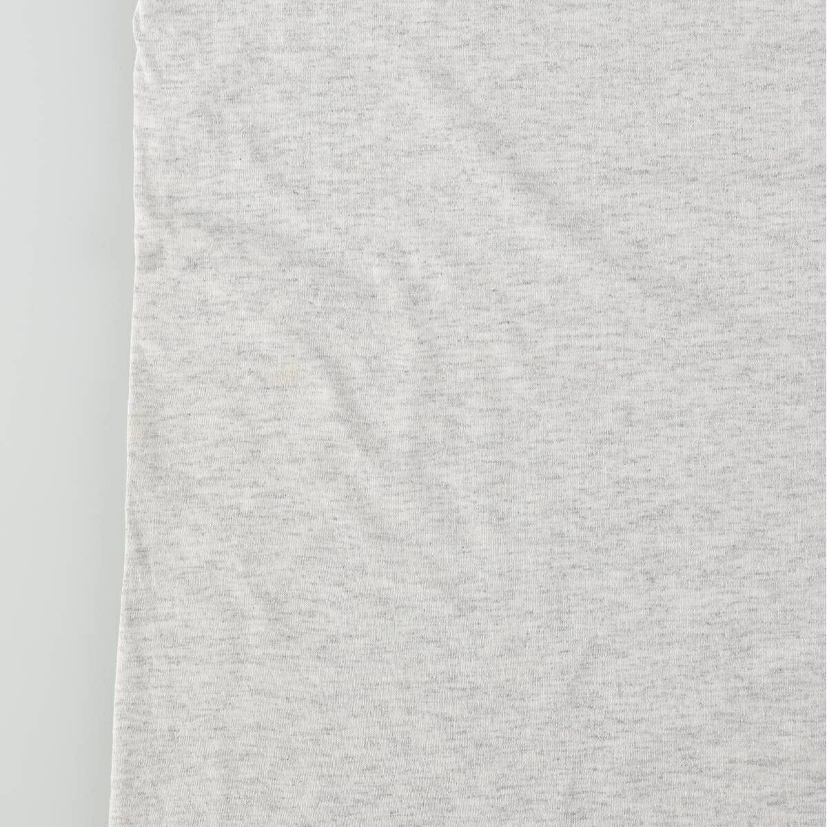 古着 90年代 ヘインズ Hanes HEAVYWEIGHT 50/50 POMERANIAN ポメラニアン 犬柄 アニマルTシャツ USA製 メンズM相当 ヴィンテージ /eaa664448 【中古】 【260810】