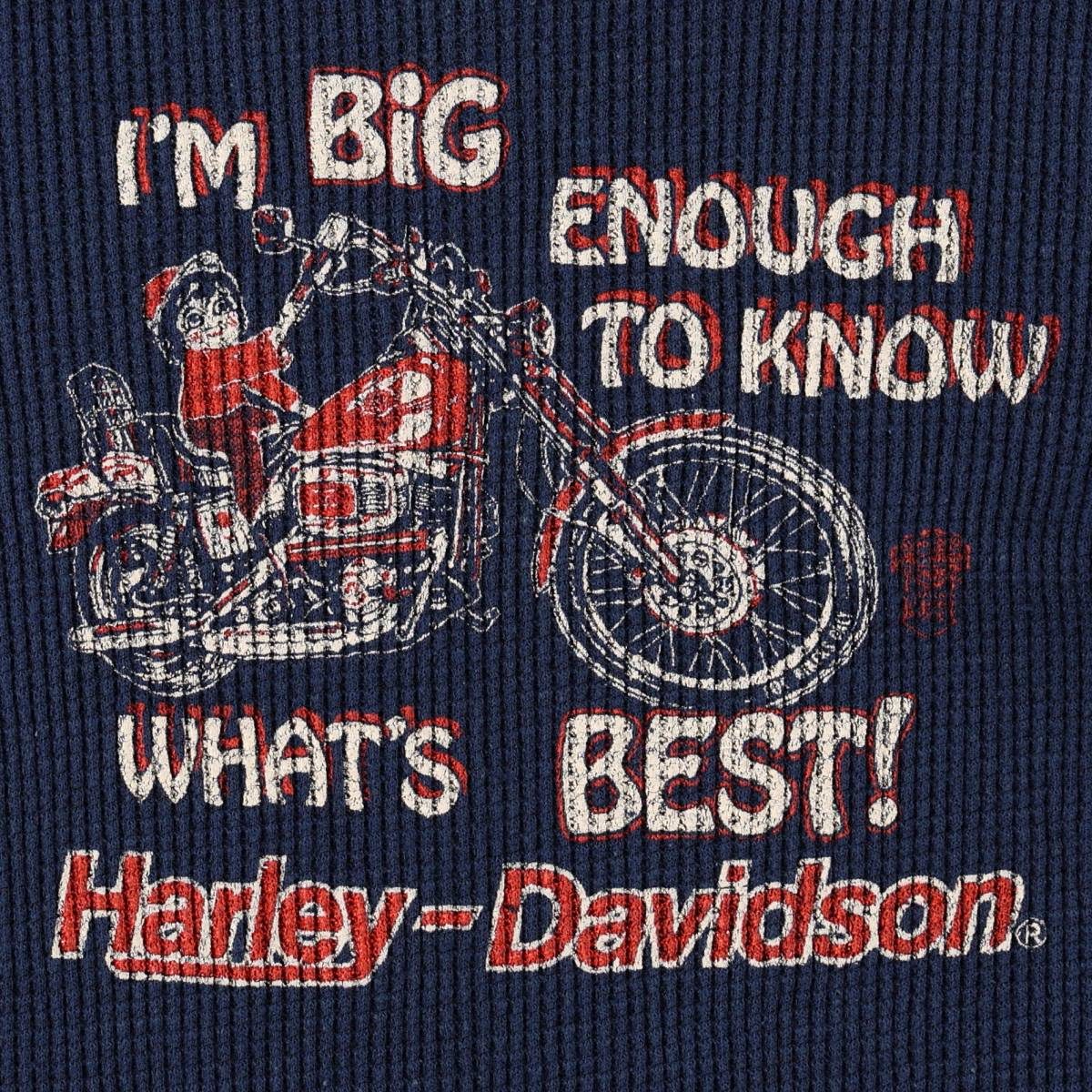 FRUIT OF THE LOOM/フルーツオブザルーム Harley-Davidson ハーレーダビッドソン サーマルロンT ワッフル