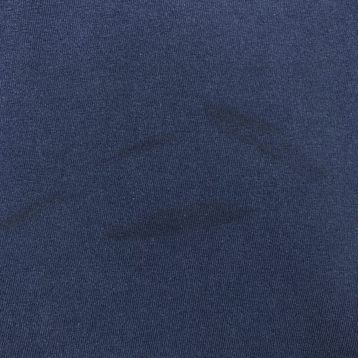 Hanes/ヘインズ CHAMPKNIT カレッジTシャツ