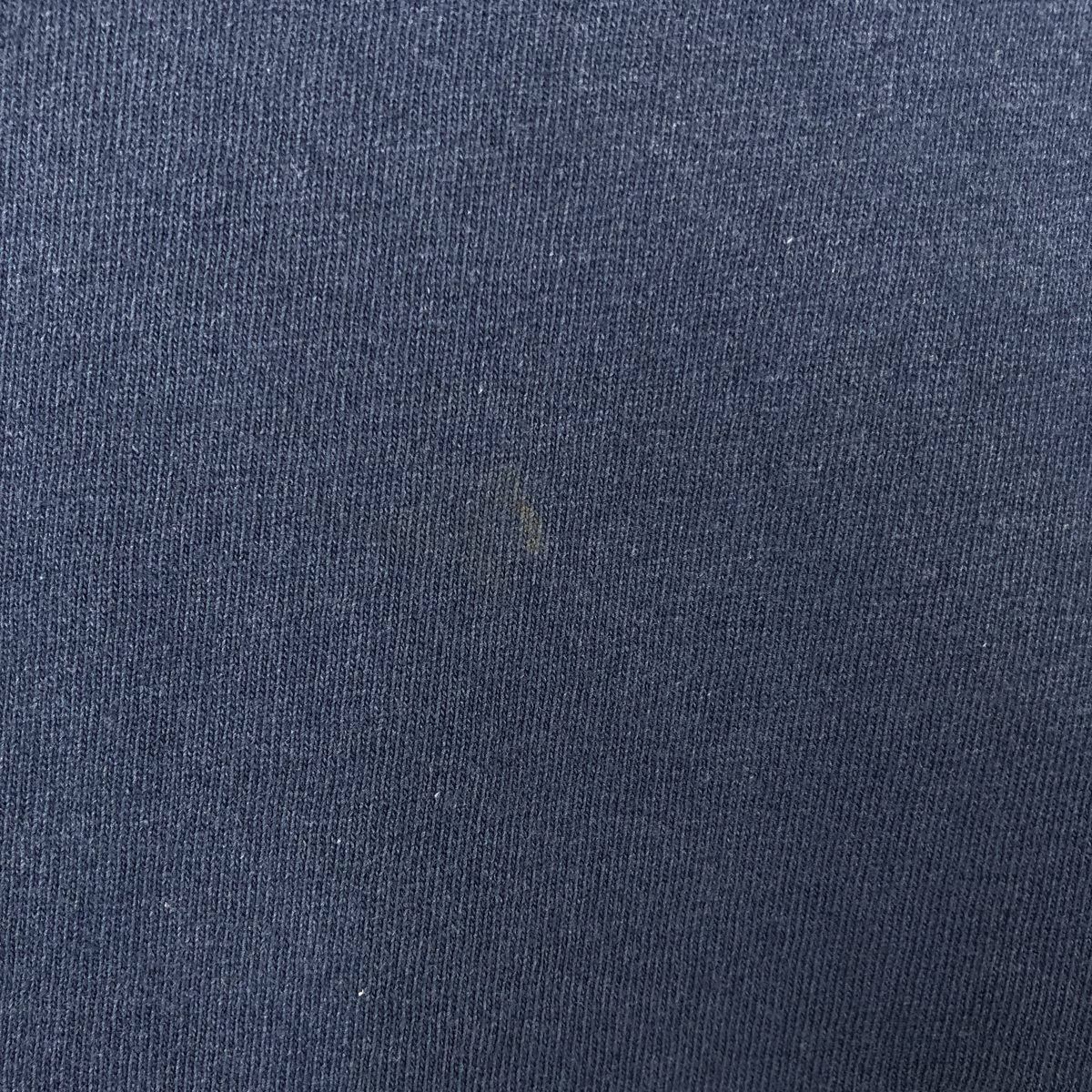 Hanes/ヘインズ CHAMPKNIT カレッジTシャツ