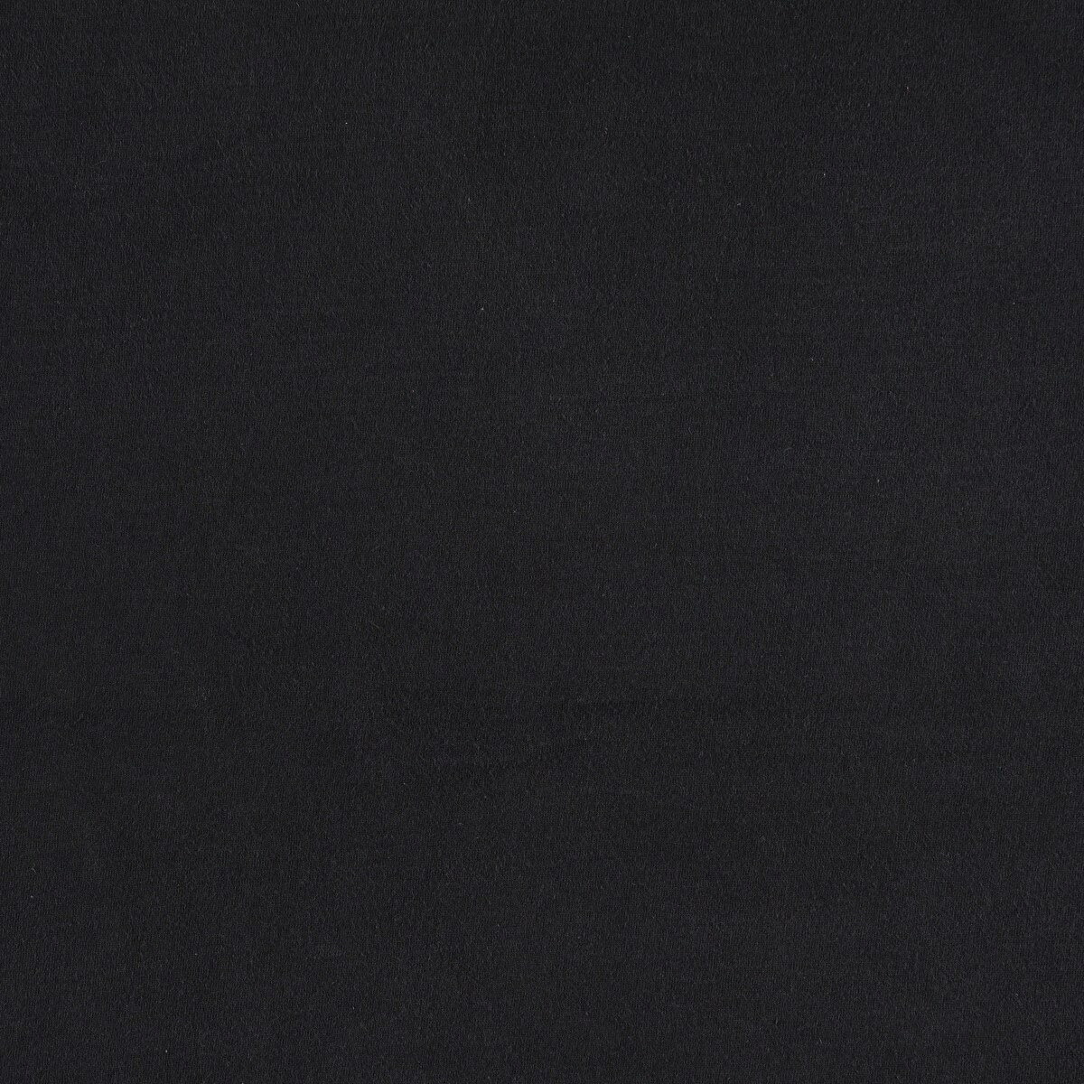 FRUIT OF THE LOOM/フルーツオブザルーム プリントTシャツ