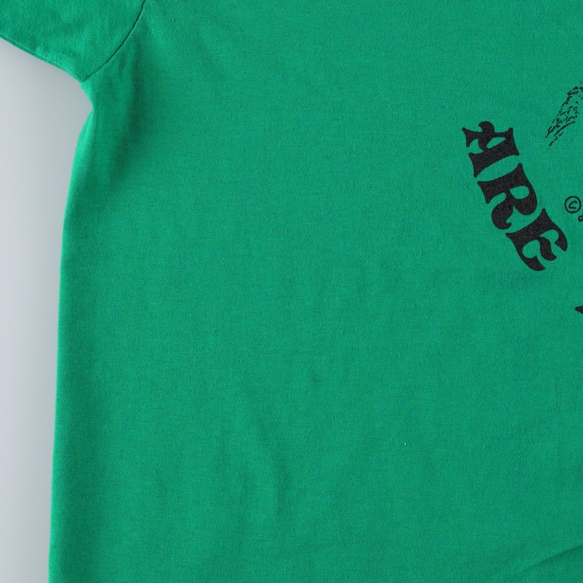 Hanes/ヘインズ Fifty-Fifty 青タグ プリントTシャツ