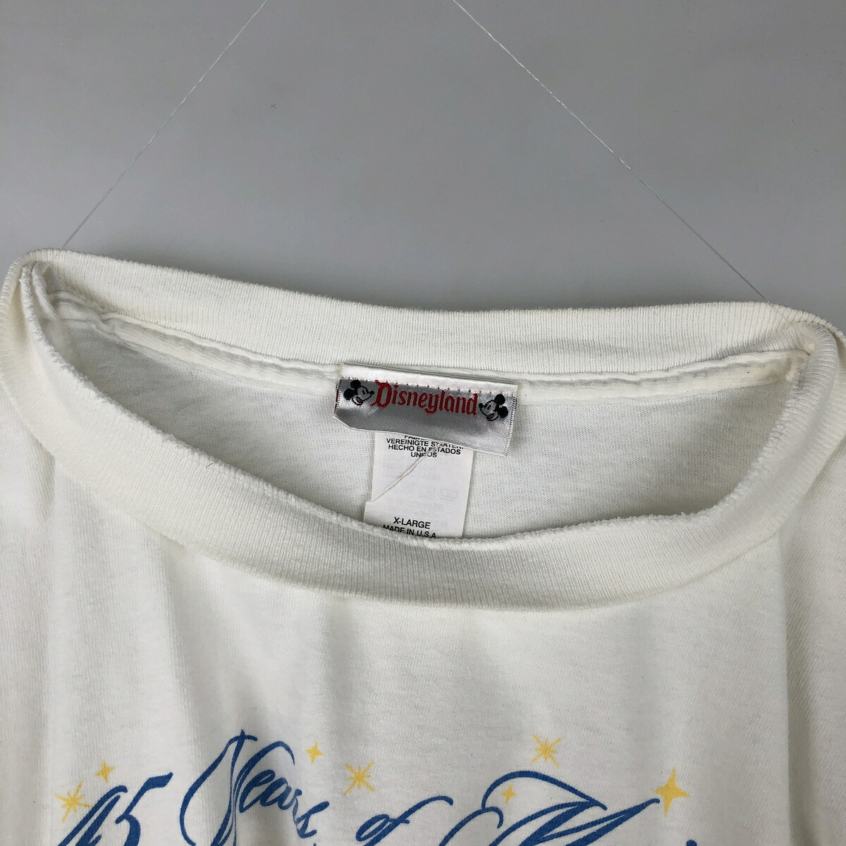 Disneyland DISNEY ディズニー キャラクタープリントTシャツ