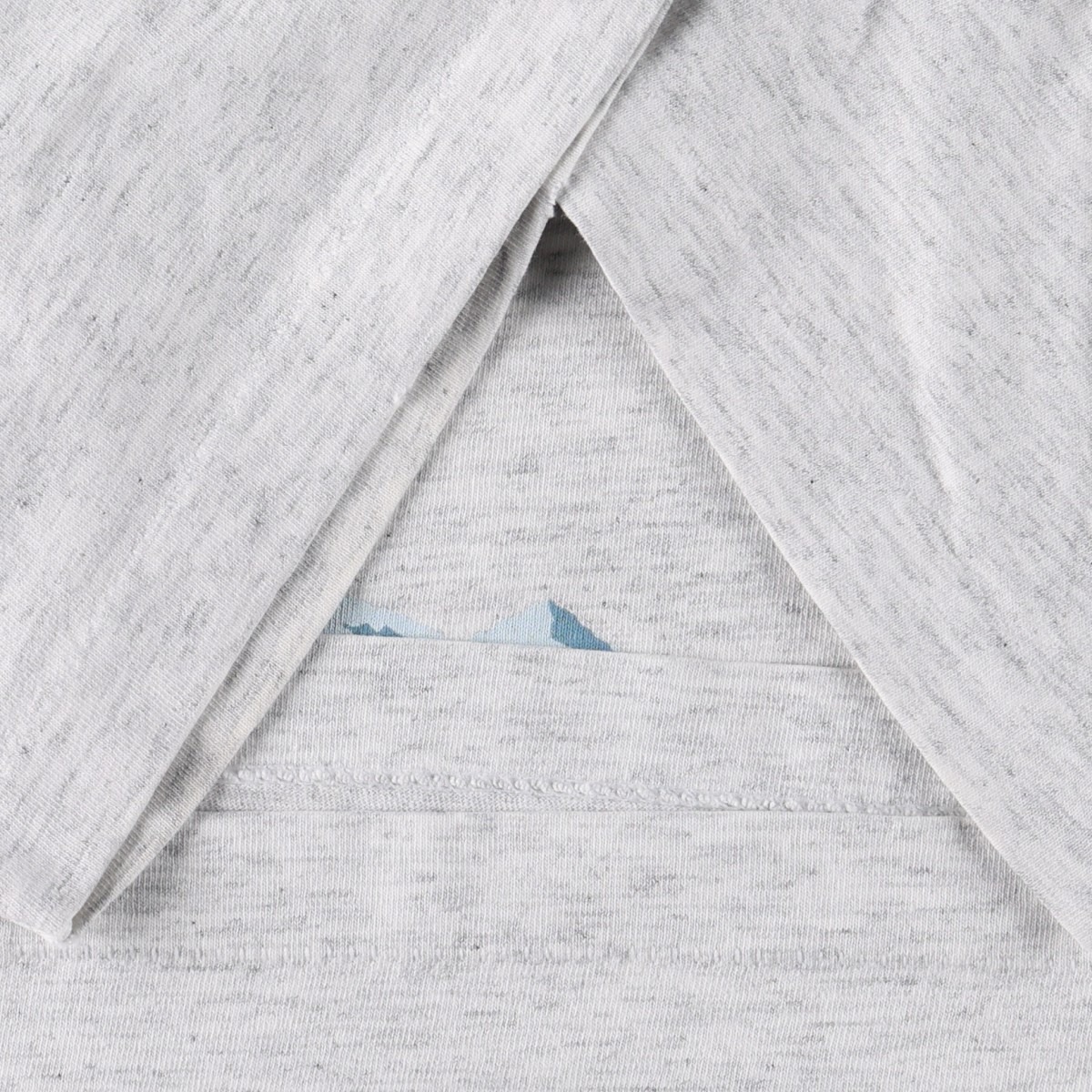 FRUIT OF THE LOOM/フルーツオブザルーム プリントTシャツ