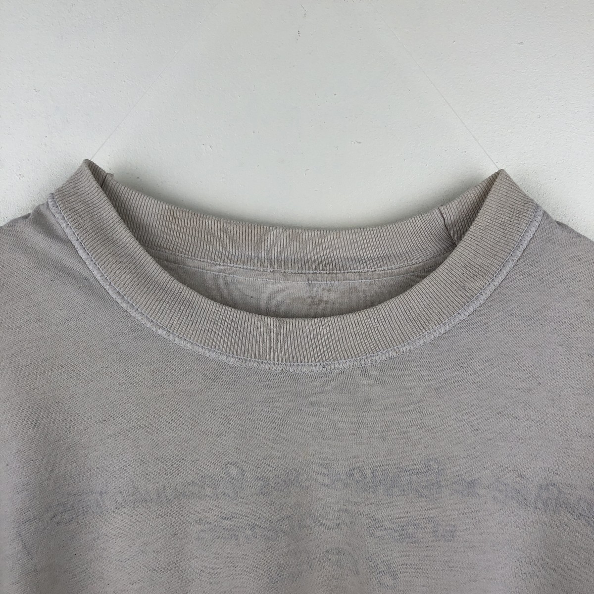 SCREEN STARS/スクリーンスターズ アニマルTシャツ