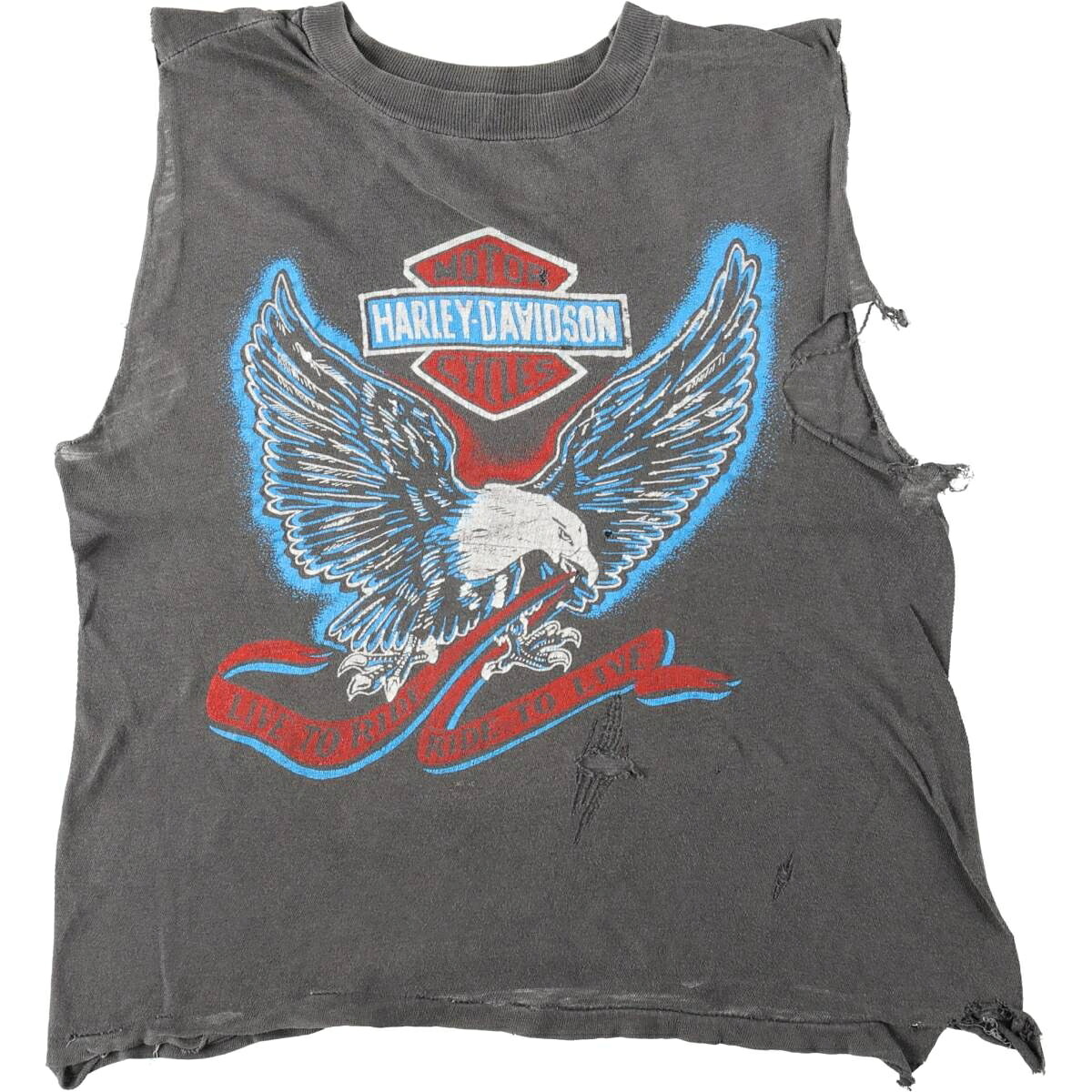 Harley-Davidson/ハーレーダビッドソン モーターサイクル バイクTシャツ