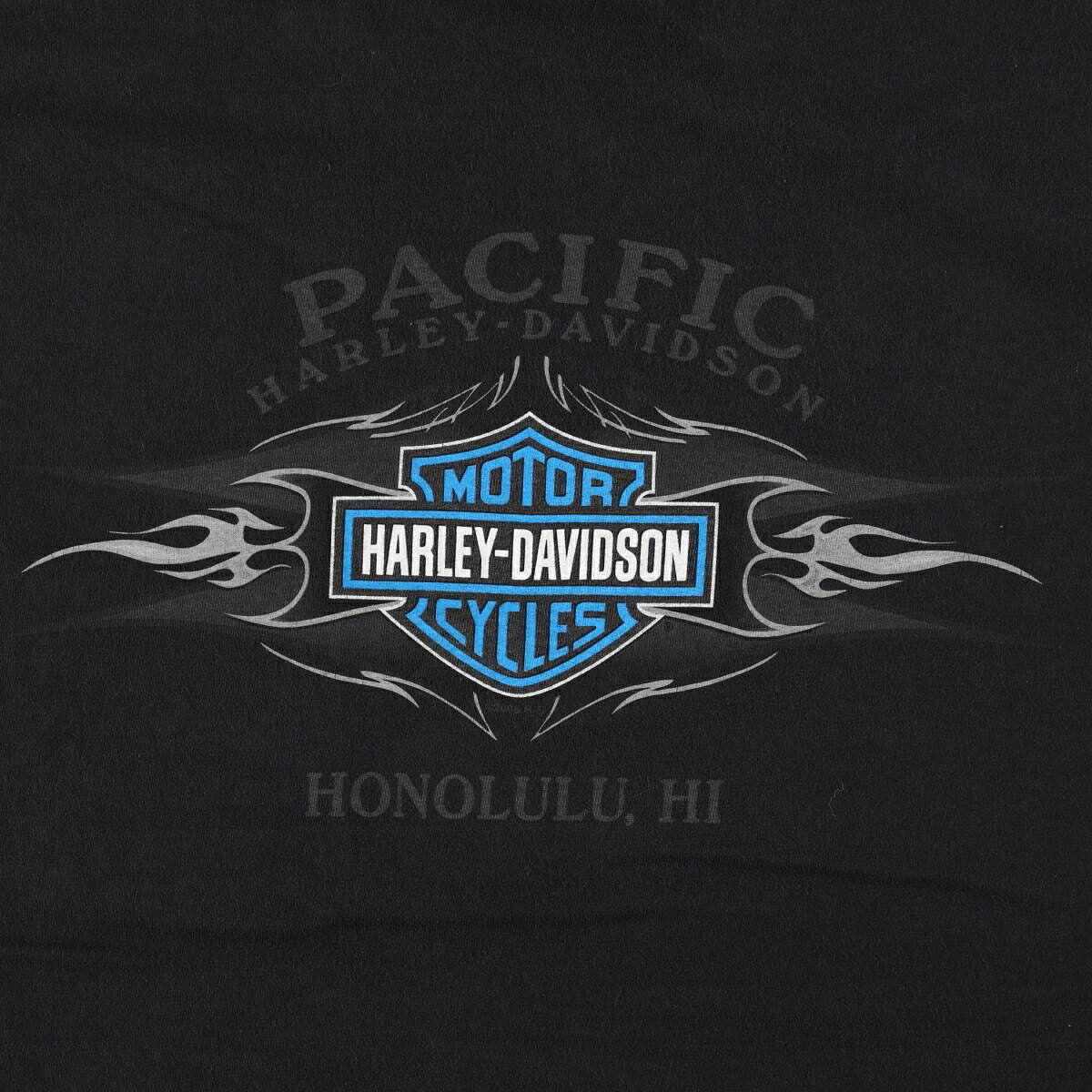 Harley-Davidson/ハーレーダビッドソン モーターサイクル バイクTシャツ