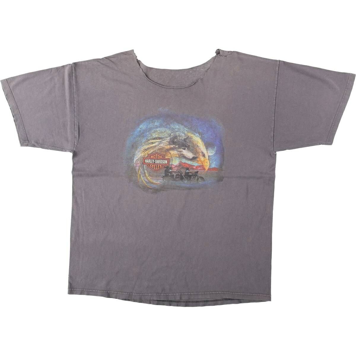Harley-Davidson/ハーレーダビッドソン モーターサイクル バイクTシャツ