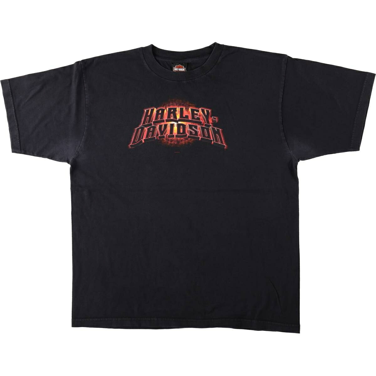 Harley-Davidson/ハーレーダビッドソン モーターサイクル バイクTシャツ