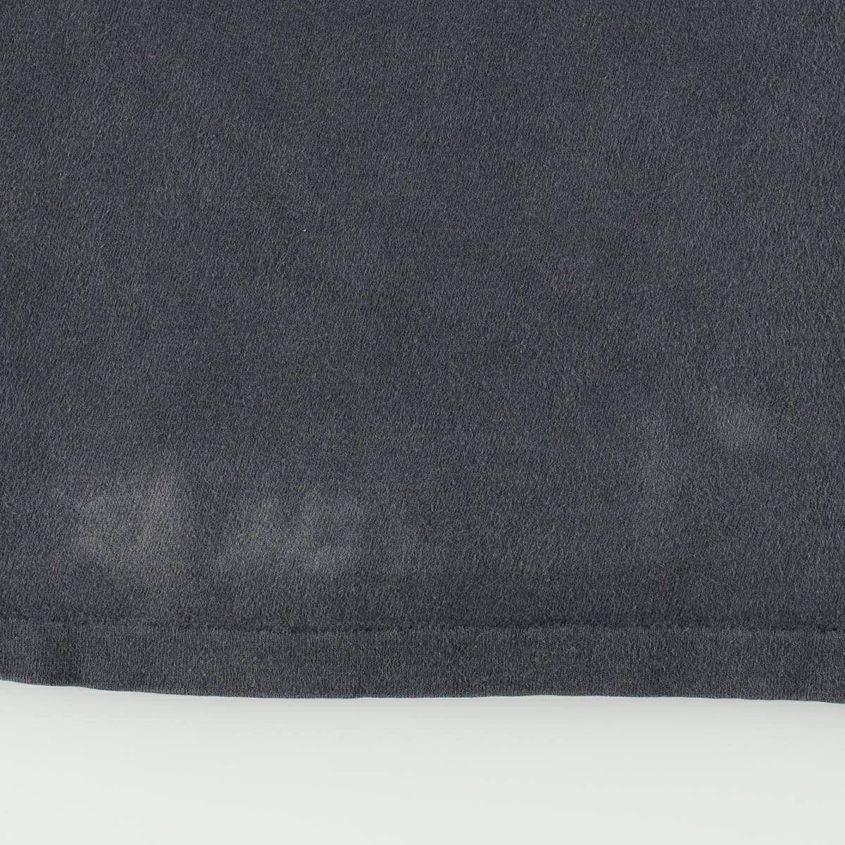 Hanes/ヘインズ BEEFY-T RAY TROLL レイトロール バンドTシャツ バンT