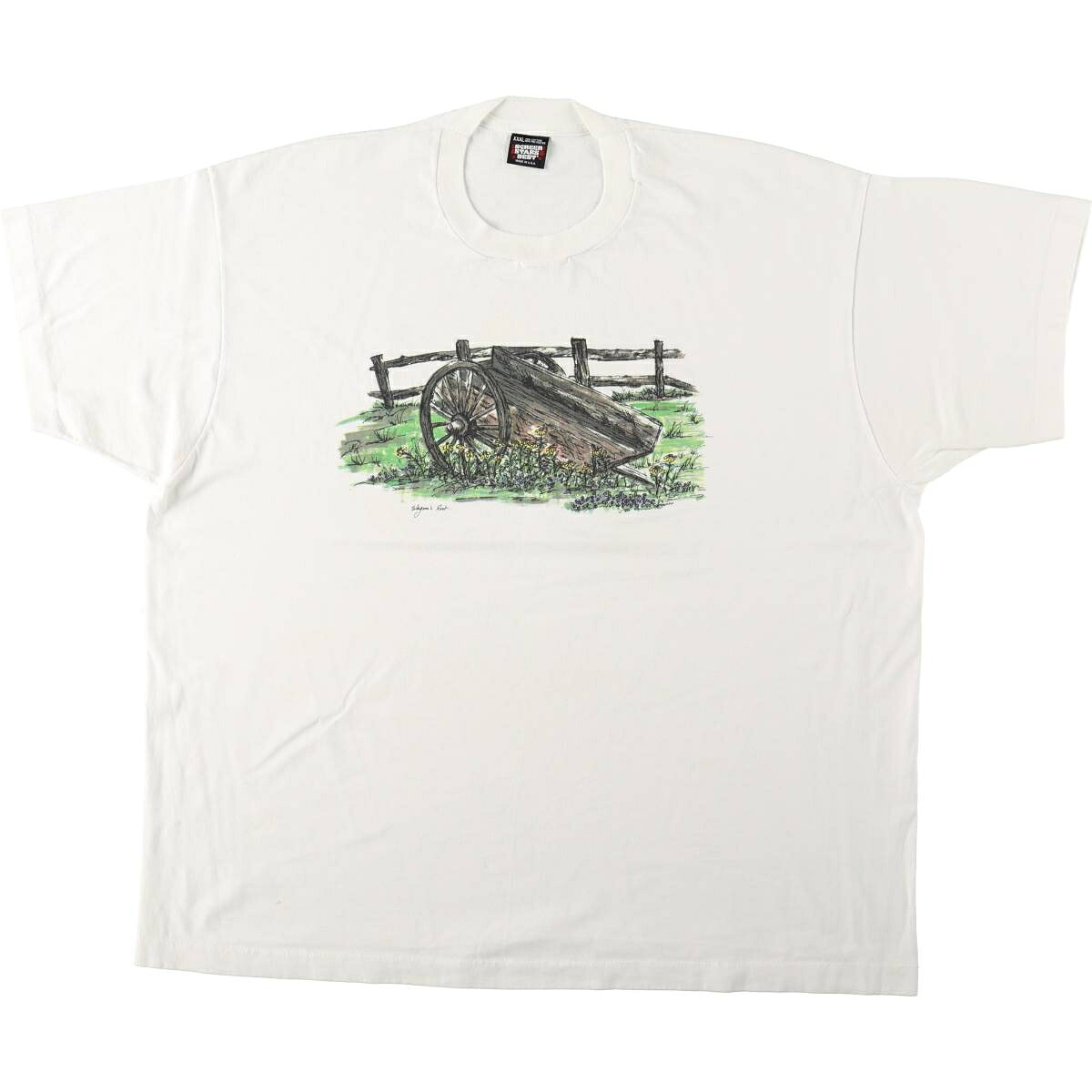 SCREEN STARS/スクリーンスターズ アートTシャツ