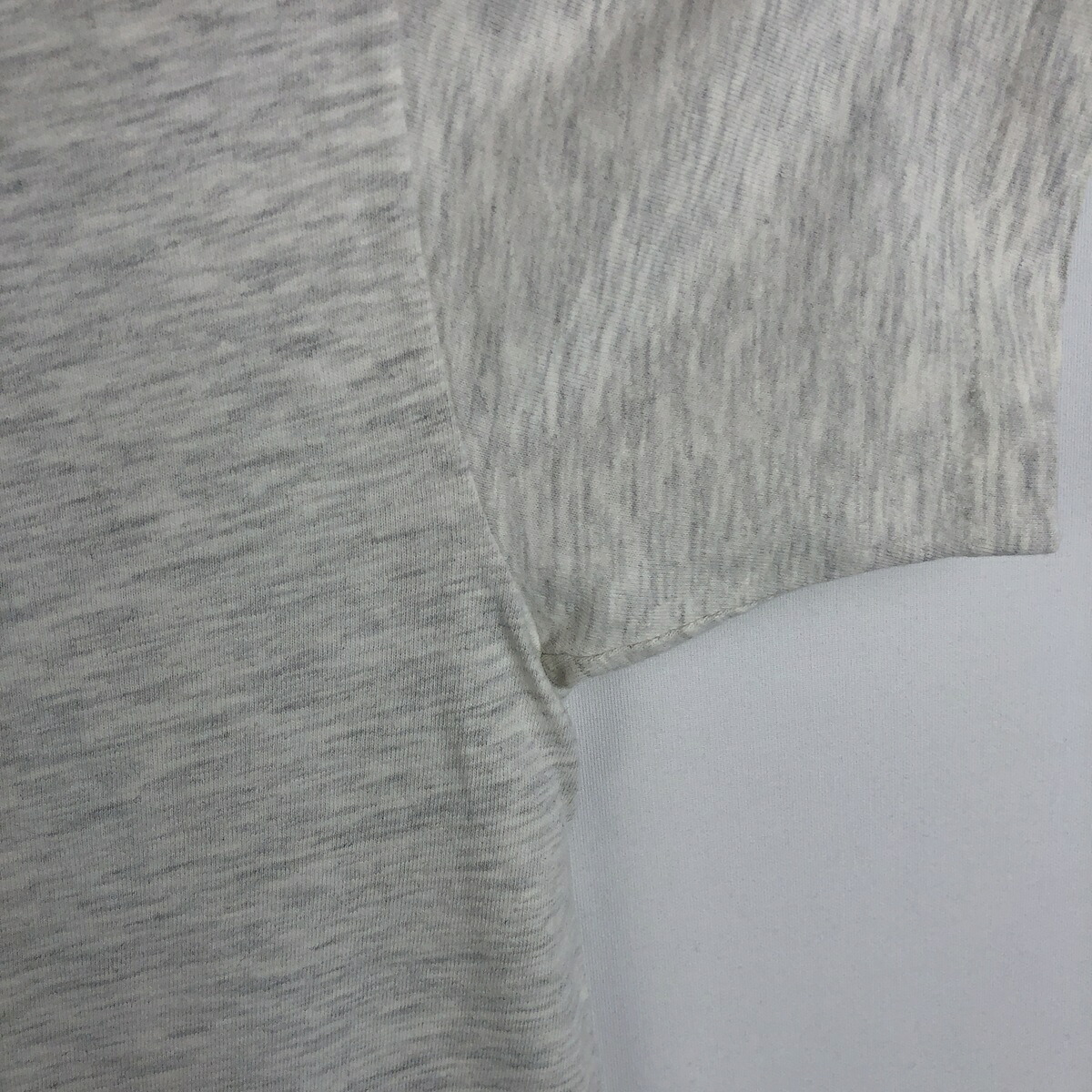 Hanes/ヘインズ BEEFY-T アニマルTシャツ