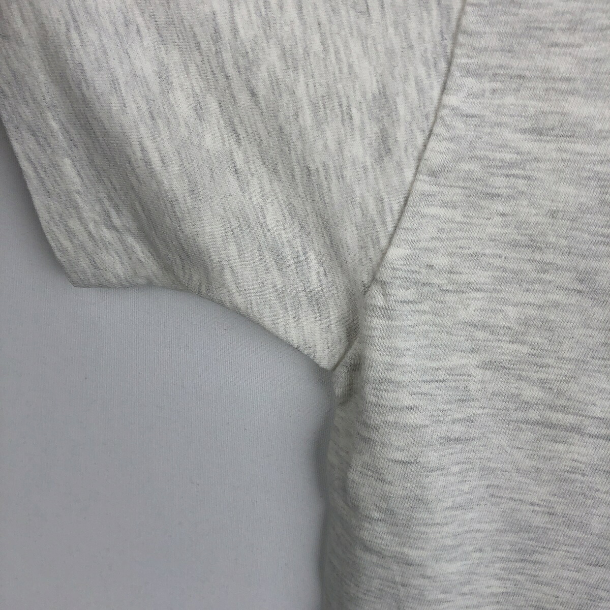 Hanes/ヘインズ BEEFY-T アニマルTシャツ