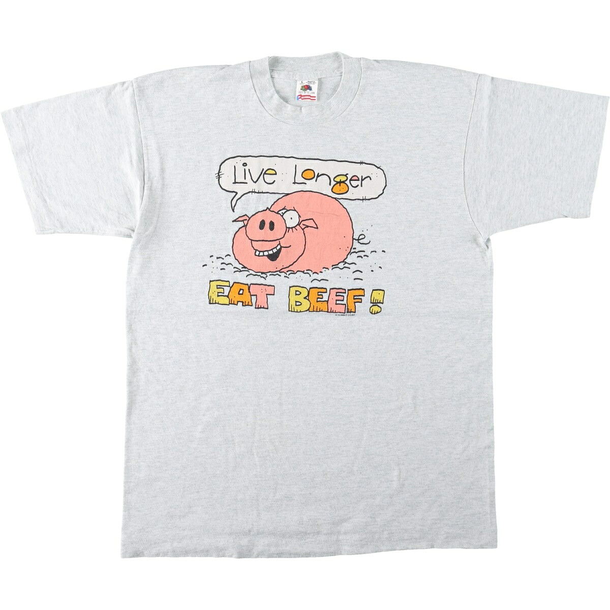 FRUIT OF THE LOOM/フルーツオブザルーム プリントTシャツ