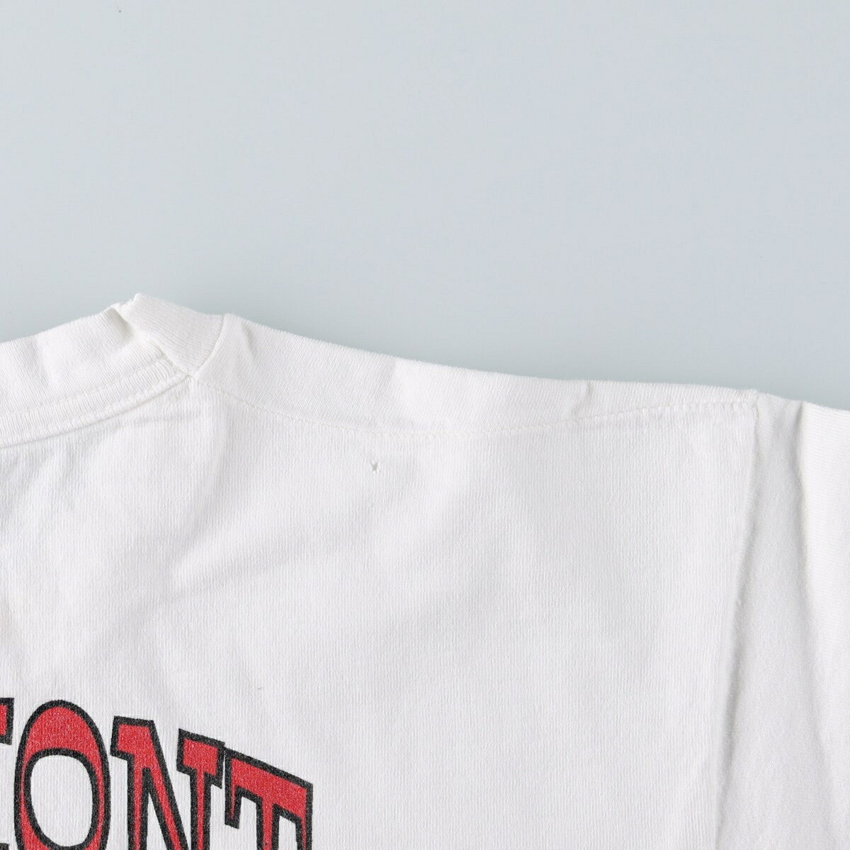 FRUIT OF THE LOOM/フルーツオブザルーム カレッジTシャツ
