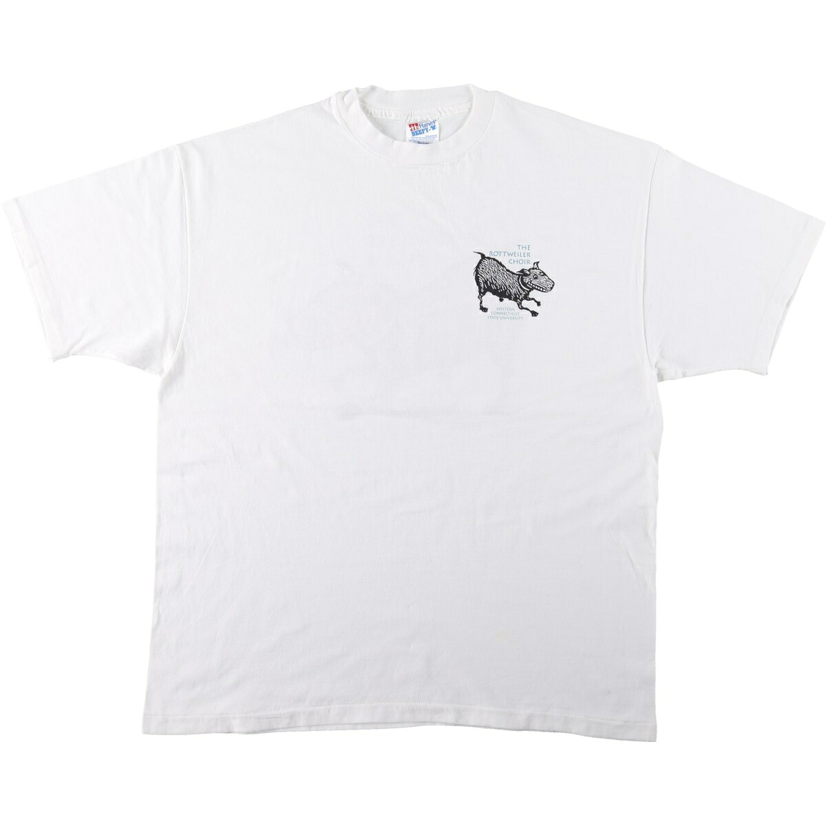 Hanes/ヘインズ BEEFY-T カレッジTシャツ