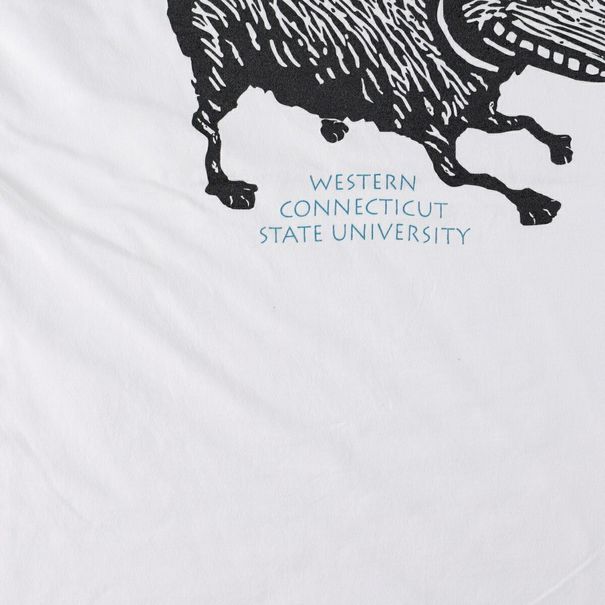 古着 90年代 ヘインズ Hanes BEEFY-T カレッジTシャツ USA製 メンズXL相当 ヴィンテージ /eaa661209 【中古】 【260813】